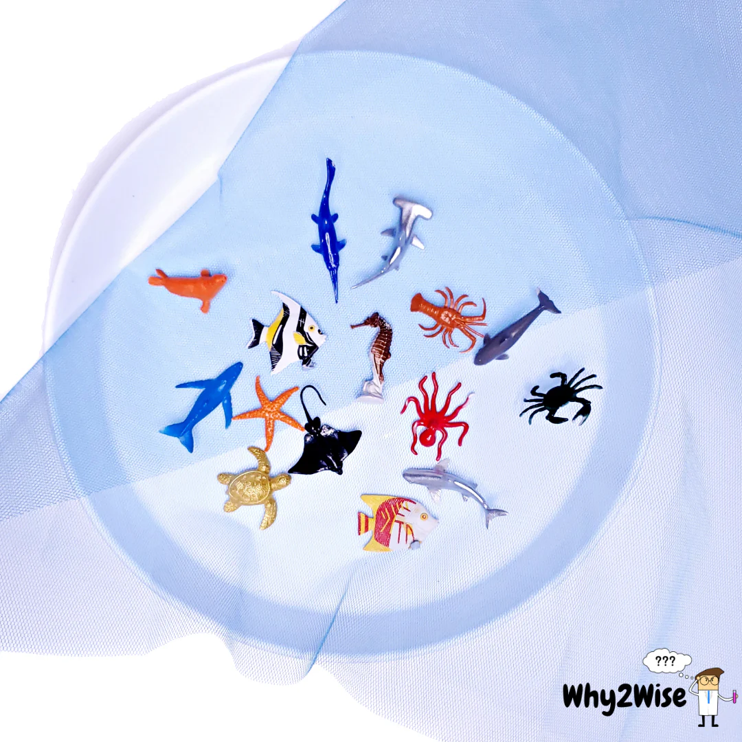 5_ada68561-23e6-48db-a6f1-27f8330bf3ed