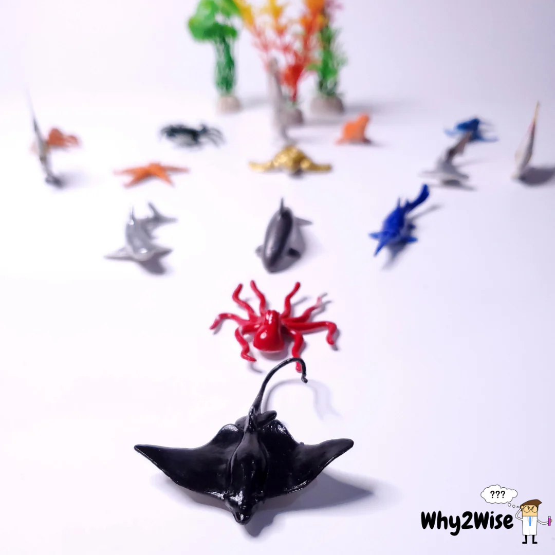 6_237991e3-4996-4dc4-b136-b1486ad23bcc