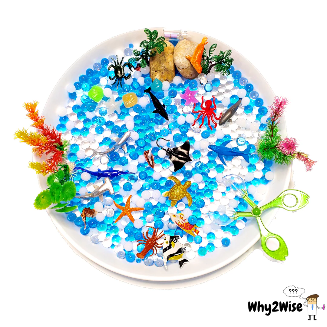 [Kit] Ocean and Fishing Sensory Play